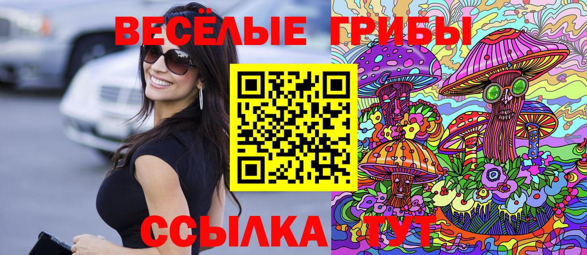 Псилоцибиновые грибы Psilocybine cubensis Вязники